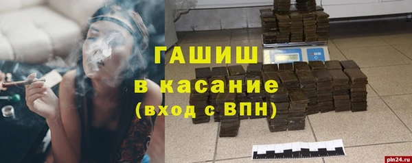 стаф Алзамай