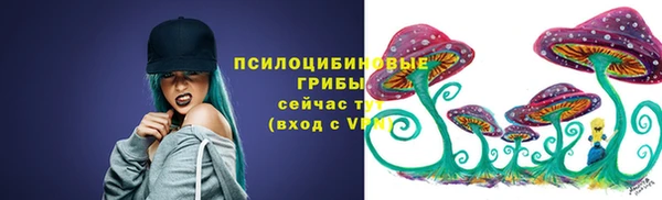 а пвп мука Абаза