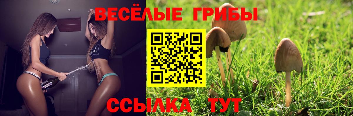 Галлюциногенные грибы Psilocybine cubensis Новочебоксарск